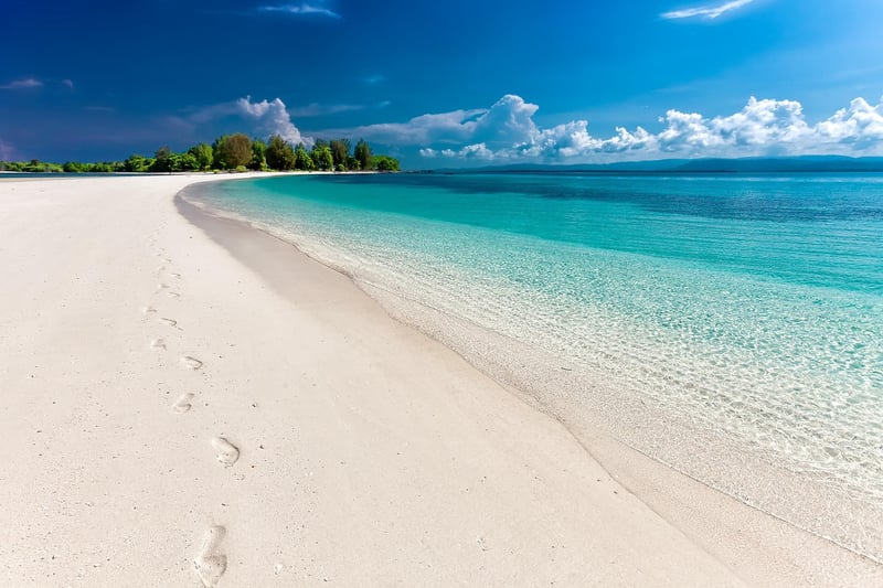 Tropical Paradise